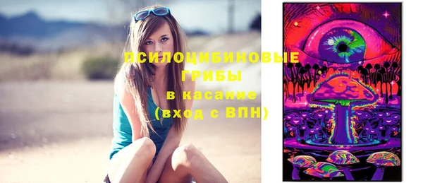 Альфа ПВП Аркадак