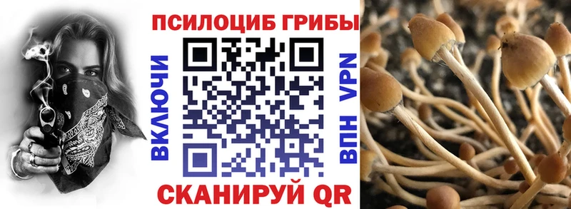 цена наркотик  KRAKEN   Псилоцибиновые грибы GOLDEN TEACHER  Истра 